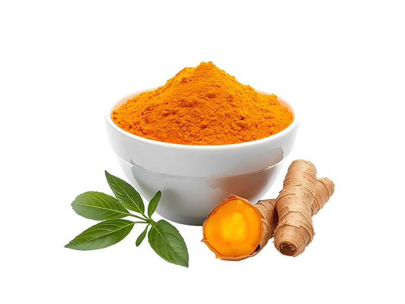 Curcuma Extrato Seco