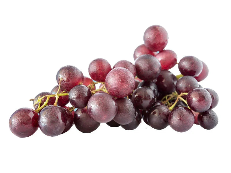 Resveratrol