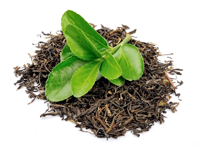 L-Theanine